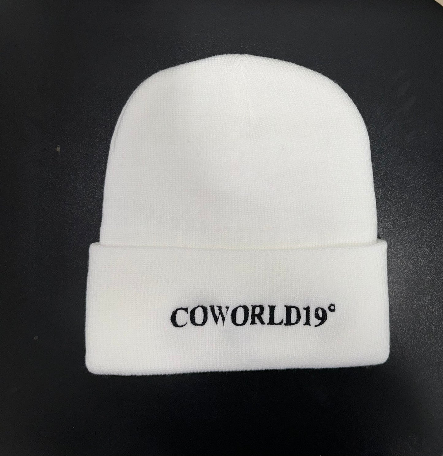 COWORLD beanies