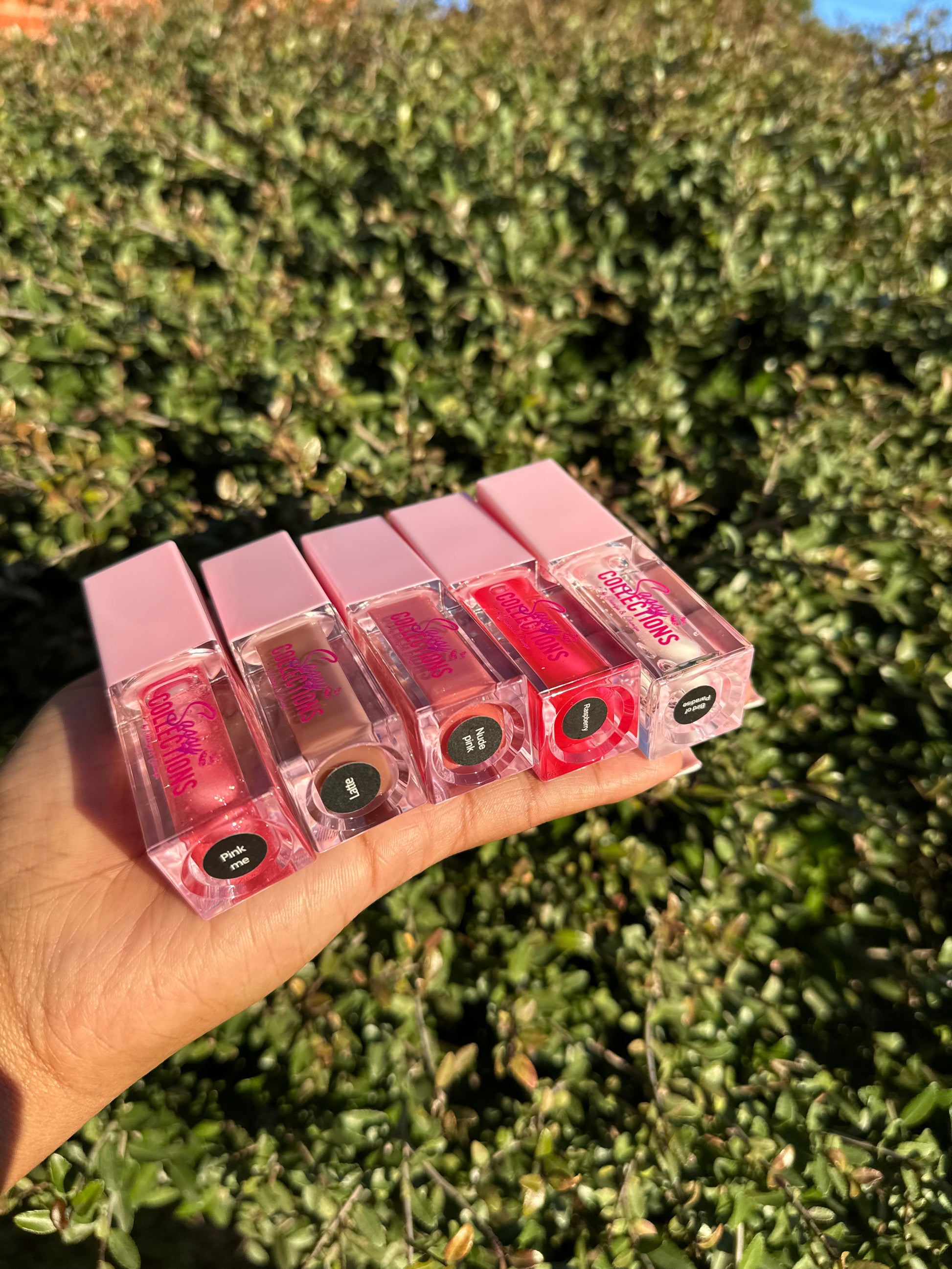 Sassy Raspberry Raspberry – Sassy Collections